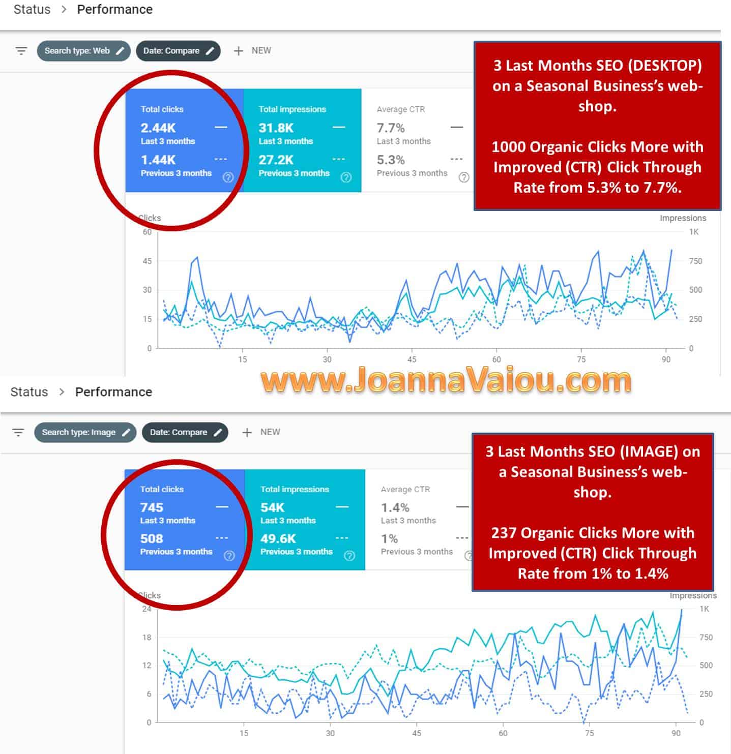 seo case study for a small seasonal national business shop «